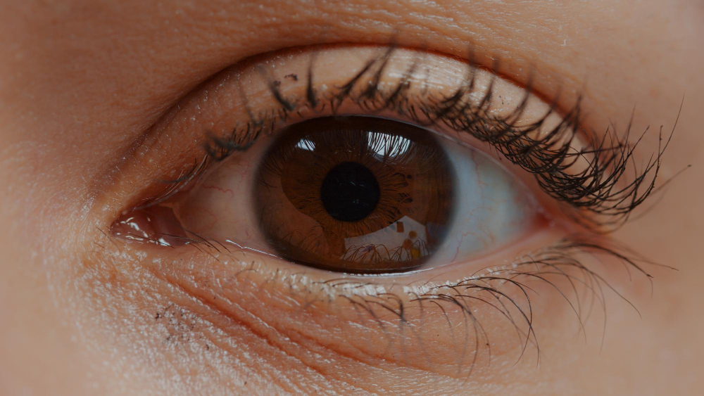 woman-with-brown-eye-eyelashes-looking-camera-human-eye-extreme-close-up-open-with-eyelid-natural-skin-showing-retina-pupil-iris-blinking-focus-sight-healthy-eyesight-closeup
